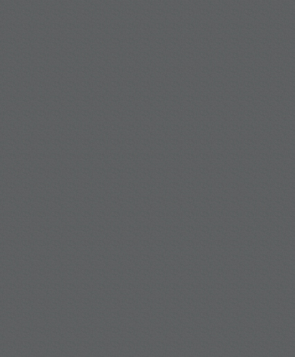 Marburger Tapete 54168 5,00 x 1,06 m marburg Basic 2088